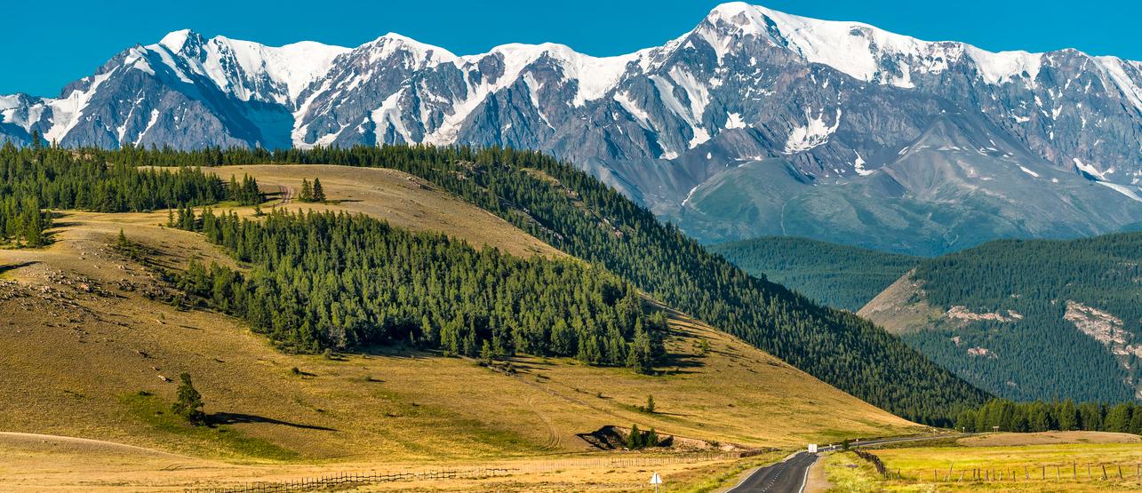 УСЛУГИ СПЕЦИАЛИЗИРОВАННОГО ДЕПОЗИТАРИЯ<br> ПИФ, СК И СРО